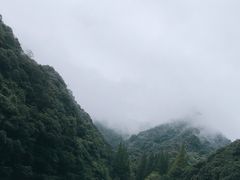 -天明山温泉大酒店