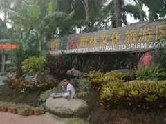 -呀诺达热带雨林