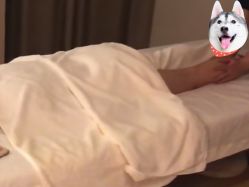 点击看大图 -芳香乐府SPA·五行芳疗
