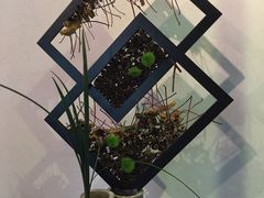 -厦门园林植物园-植物园滴水山房