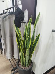 -CE·专业蛋白•羽毛接发·潮色烫染品牌店