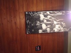 校村炸鸡(塔洞店)-校村炸鸡(塔洞店)
