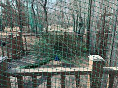 -沈阳鸟岛