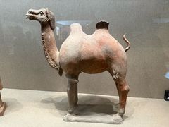 -敦煌市博物馆