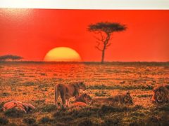 -罗红摄影艺术馆