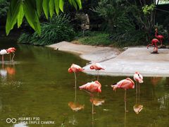-常州淹城野生动物世界