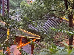 -巴倒烫陆派火锅山庄(南山总店)