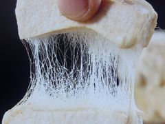 -徽三说·土徽菜·中国徽菜连锁品牌(一中店)