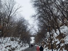 -北山公园