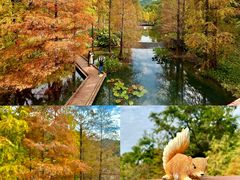 -云溪植物园