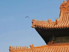 -故宫博物院(故宫)