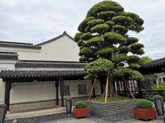 -杭州西子湖四季酒店-WL BISTRO西湖餐厅(灵隐路店)
