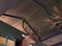 牛腩先生小馆(曲江会展店)-有才叔的小馆(招商依云曲江店)