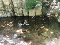 -碓臼峪自然风景区