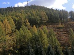 -塞罕坝国家级自然保护区