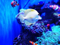 -多彩贵州城极地海洋世界