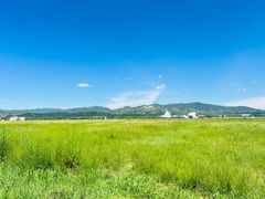 -敕勒川草原