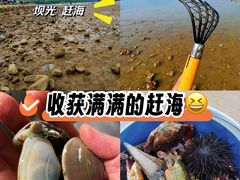 -坝光海滩