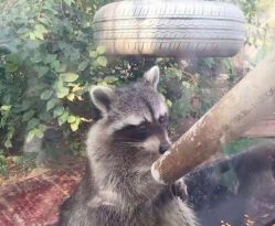 -萌宠亲子动物乐园(槐房万达店)