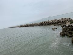 -东疆建设开发纪念公园