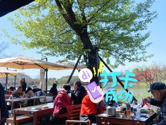 景观位-品渔味湖鲜馆(拈花湾店)