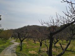 -白马涧龙池景区