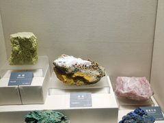 -安徽省地质博物馆