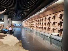 -大庆市博物馆