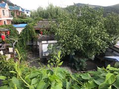 -慢丽江·云南野生菌土鸡锅(西山店)
