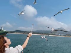 -海驴岛(荣成市)