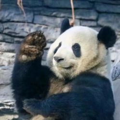 -青木造型HAIR·あおき髪を刈る潮人店