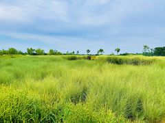 -汉长安城未央宫国家考古遗址公园