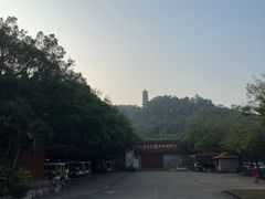 -南沙天后宫景区