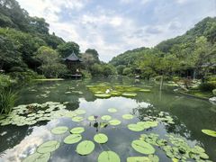 -云溪植物园