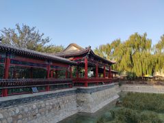 -尚庄度假村·庭台树下·户外烧烤·团建CS·轰趴营地(上庄水库店)