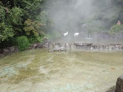 -成都动物园