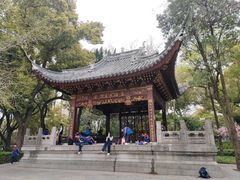 -汇龙潭