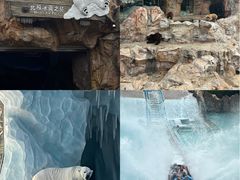 -珠海长隆海洋王国