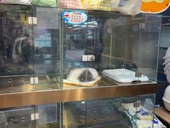 -FAELING PETS美天灵宠物(富力广场店)