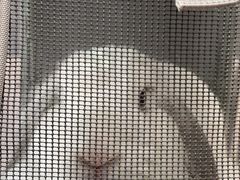 -爱侣宠医·鹦鹉专科·小型哺乳类·异宠专科(灵石路店)