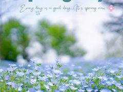 -上海辰山植物园