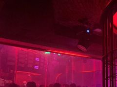 -Orangutan Bunker猩猩地堡酒吧(兰桂坊店)