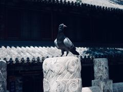 -潭柘寺景区