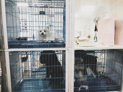 -萌兽医馆·宠物医院·猫骨科(创景店)