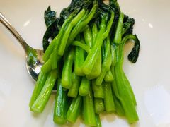 白灼广东菜心-食神鱼头佛跳墙(百子湾旗舰店)