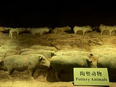 -汉景帝阳陵博物院