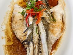 清蒸鲈鱼-青梅酒肆PLUS(长白仙岛北路店)