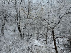 -秦岭终南山世界地质公园翠华山景区