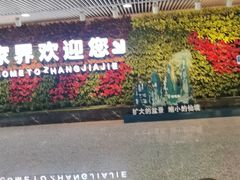 -张家界荷花国际机场