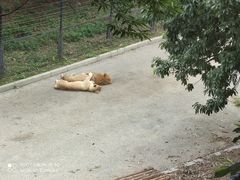 -大连森林动物园